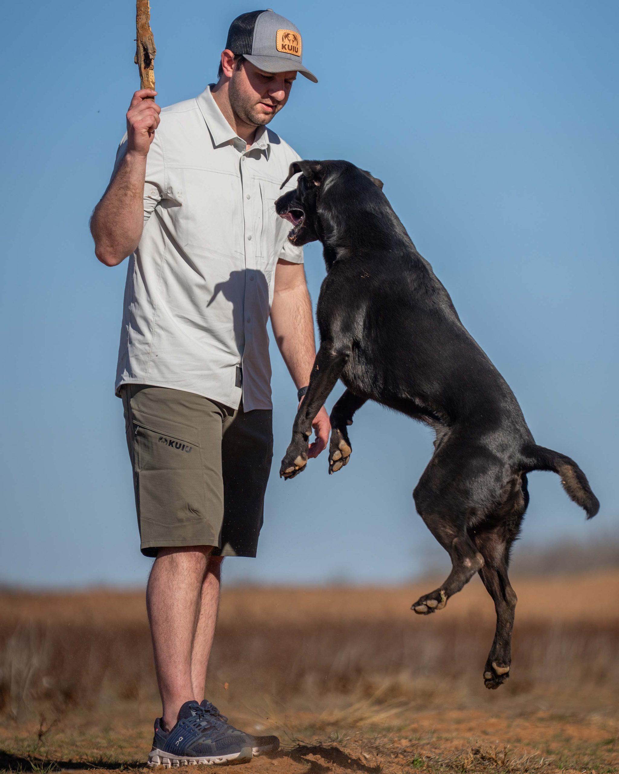 Tiburon 13?? Short | Black - Image 5