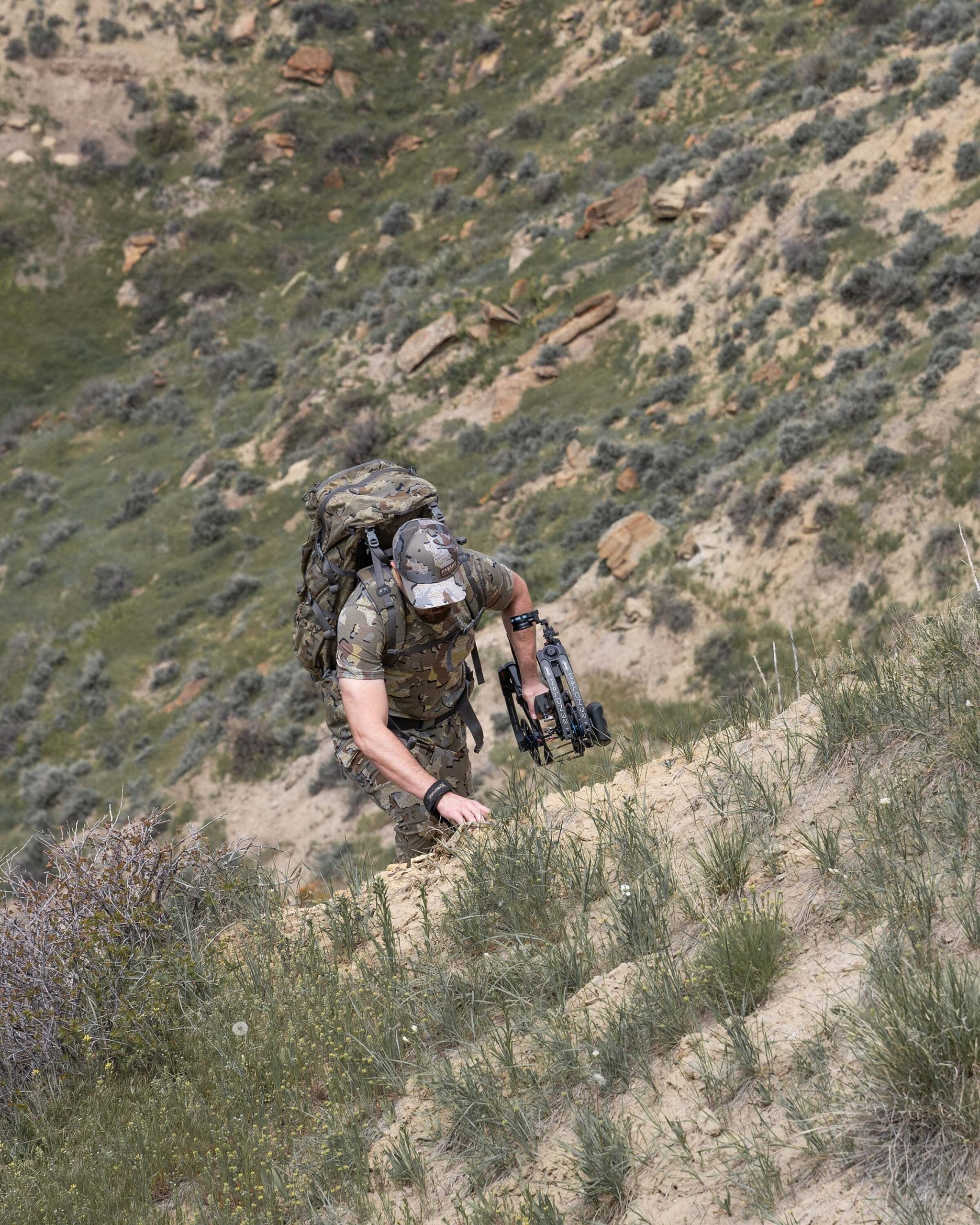 Gila SS Crew | Verde - Image 5