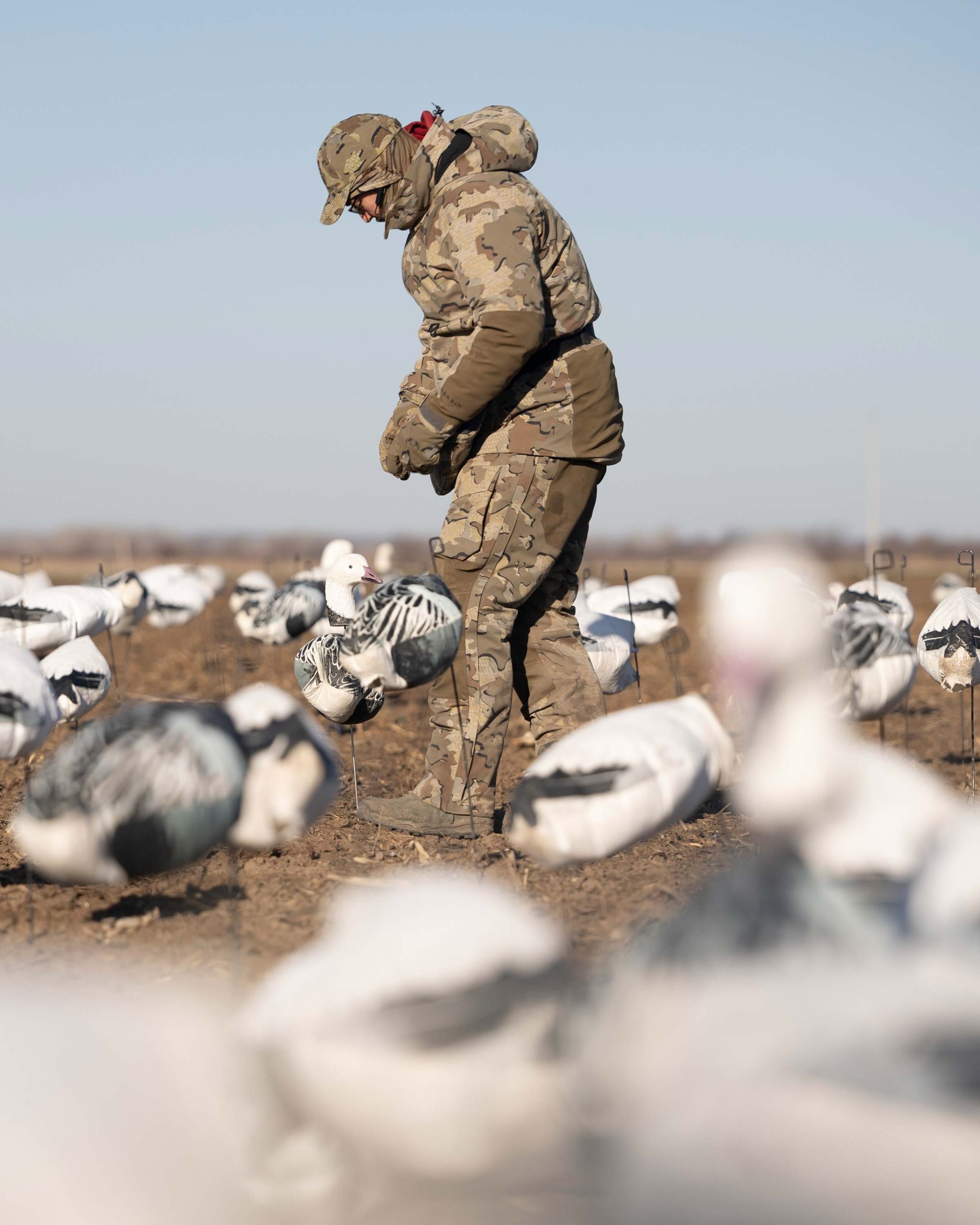 Paragon Storm Shell Parka | Arctic Shadow - Image 11