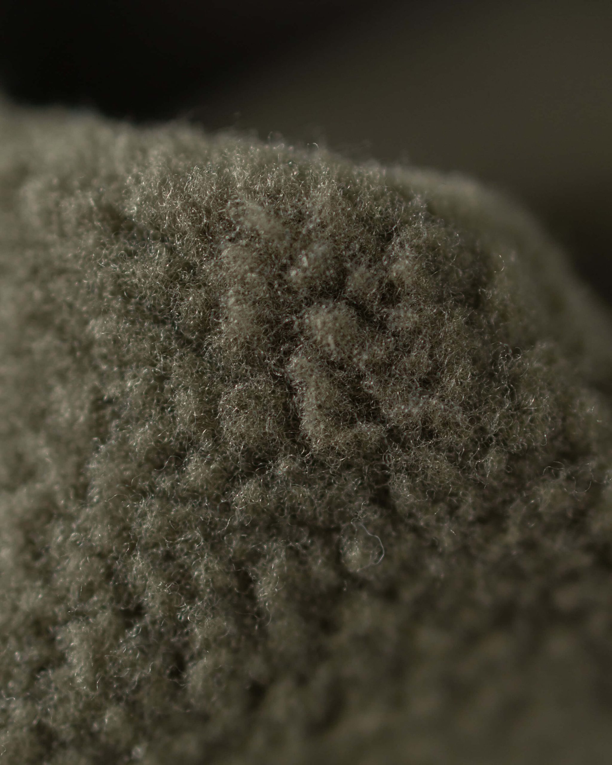 Encounter 290 Fleece Bottom | Black - Image 4